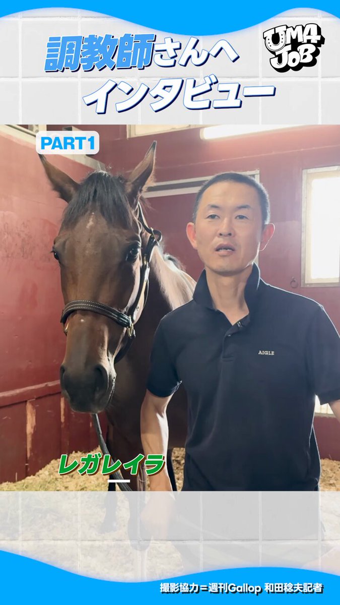 盗まれた馬 功労馬 | サクラメガワンダー