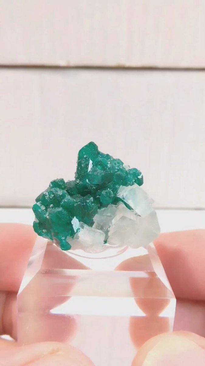 ツメブ鉱山 ダイオプテーズカルサイト ツメブ鉱山 ダイオプテーズ | 鉱物標本,タ行,ダイオプテーズ/翠
