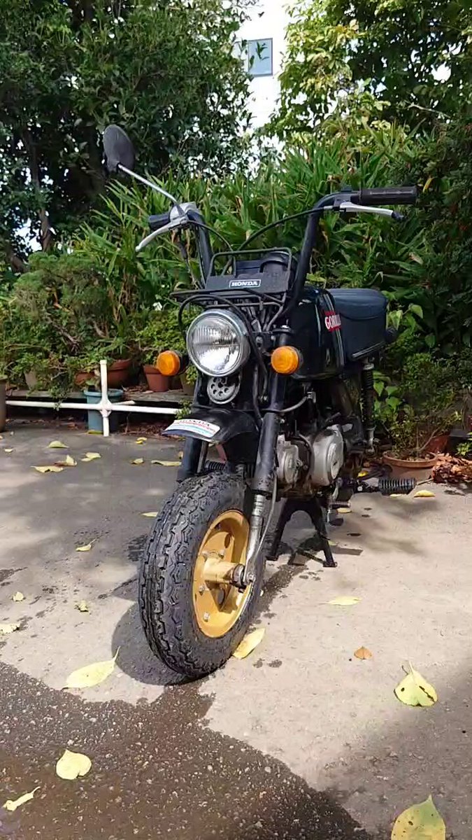 ODYSSEYFZGSDDJFLX10CW ゴリラになります クソゴリラ