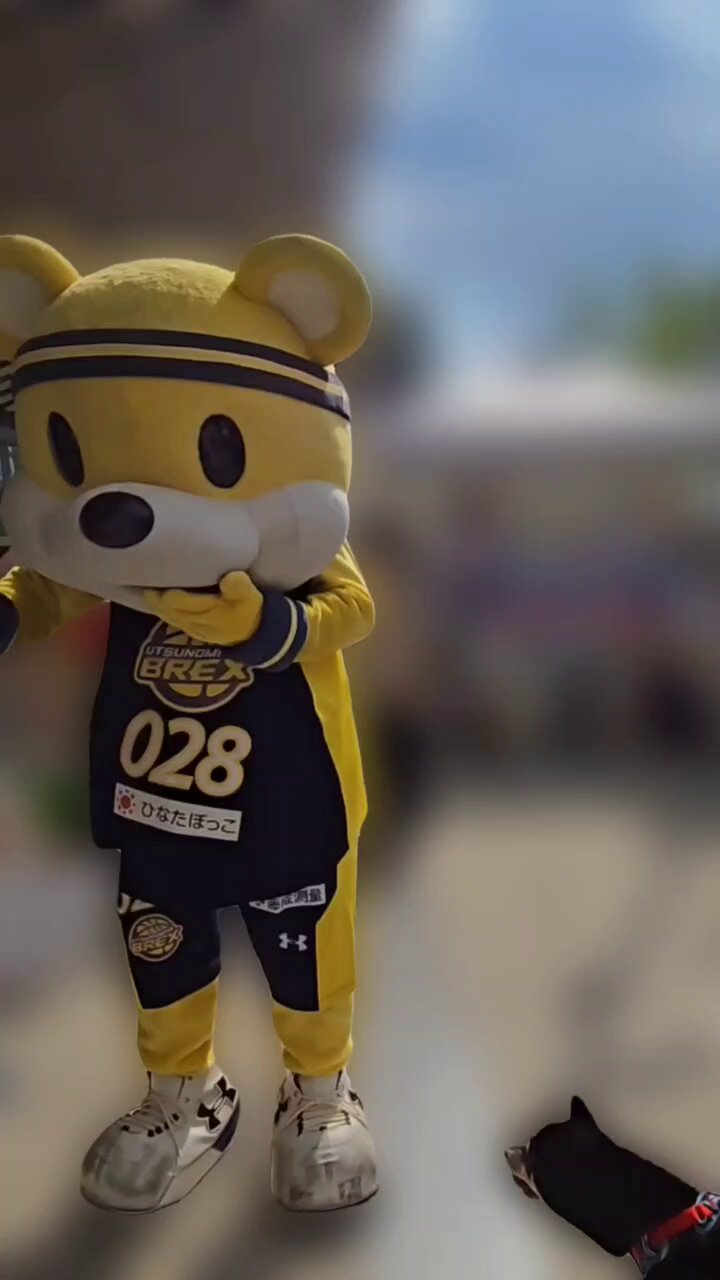 ⑩ ブレックス ブレッキー 香る勝ちだるま イベント情報／アングラーズショップmaniac's様 激夏オリカラ