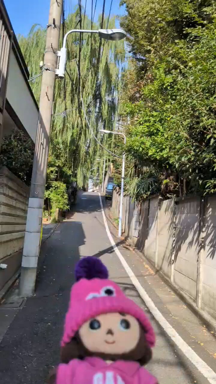 ビーちゃんページ ビー🐝ちゃん 🍉💙💛 (@BradKicchi) / X