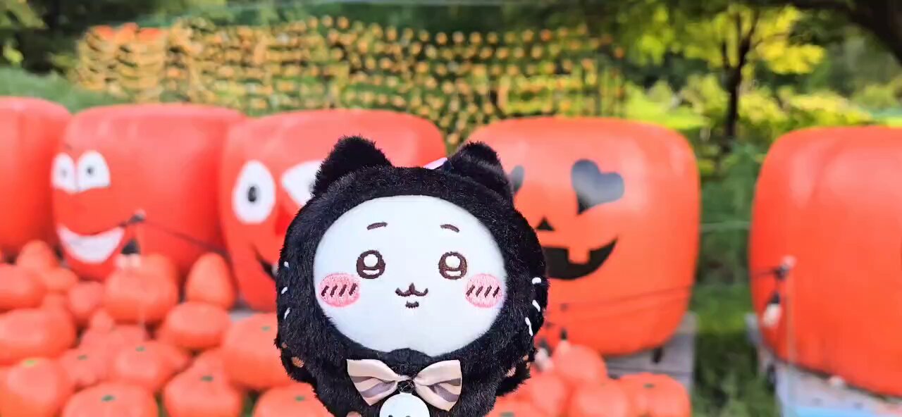 りなりす🐿 on X: 