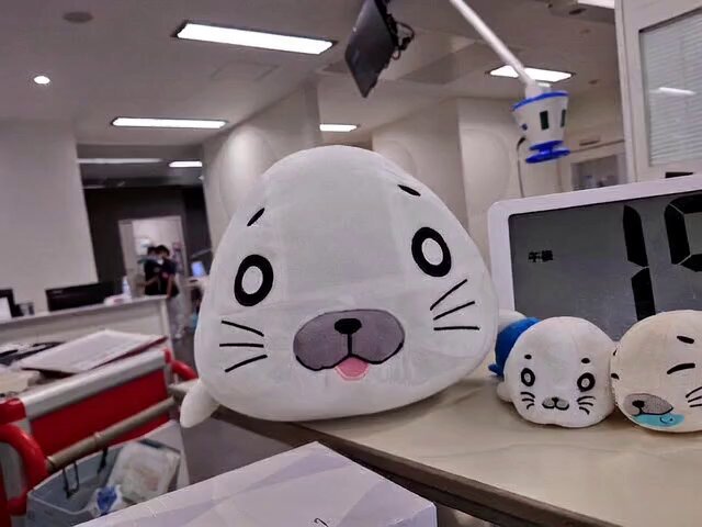 ごまちゃん ゴマちゃんぬいぐるみ・フルサイズ | ゴマちゃんホンポ