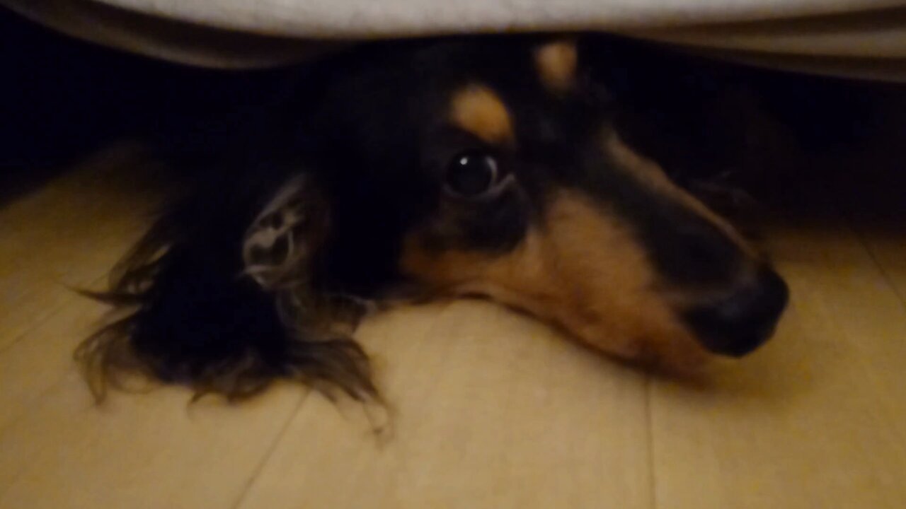 ともぞー (@tomozoxxx) / X