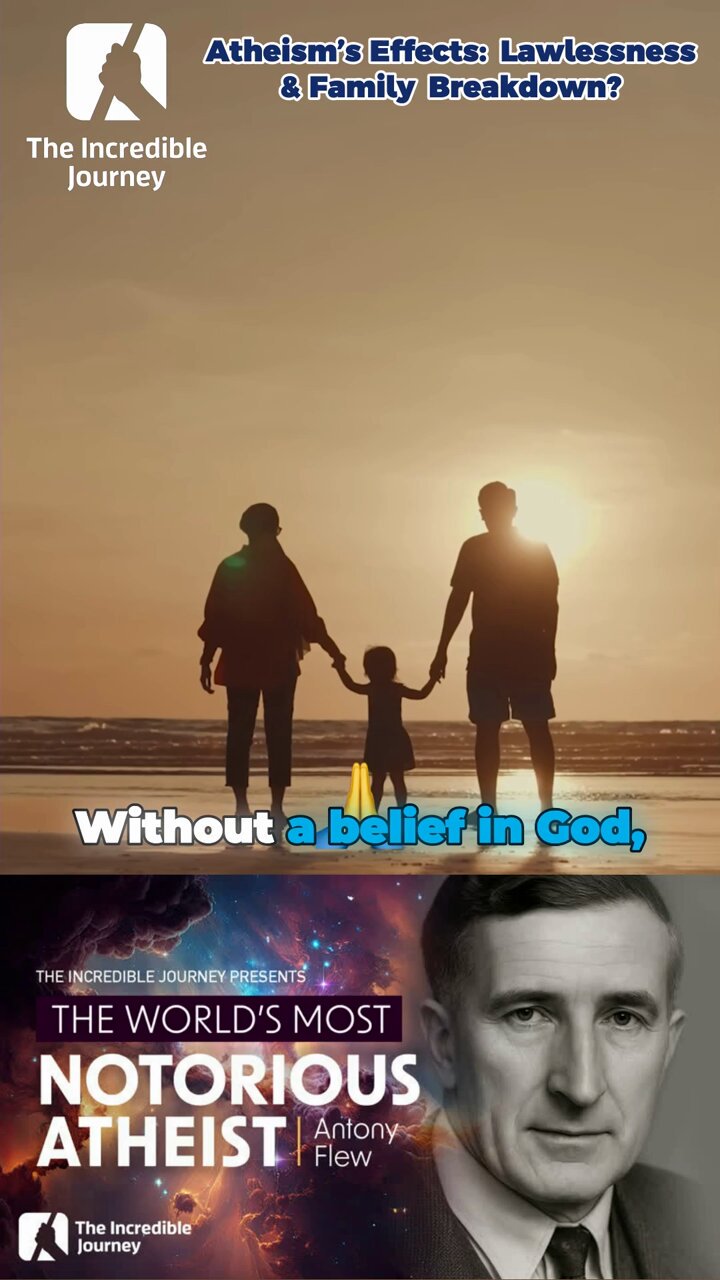 The Incredible Journey on X: 