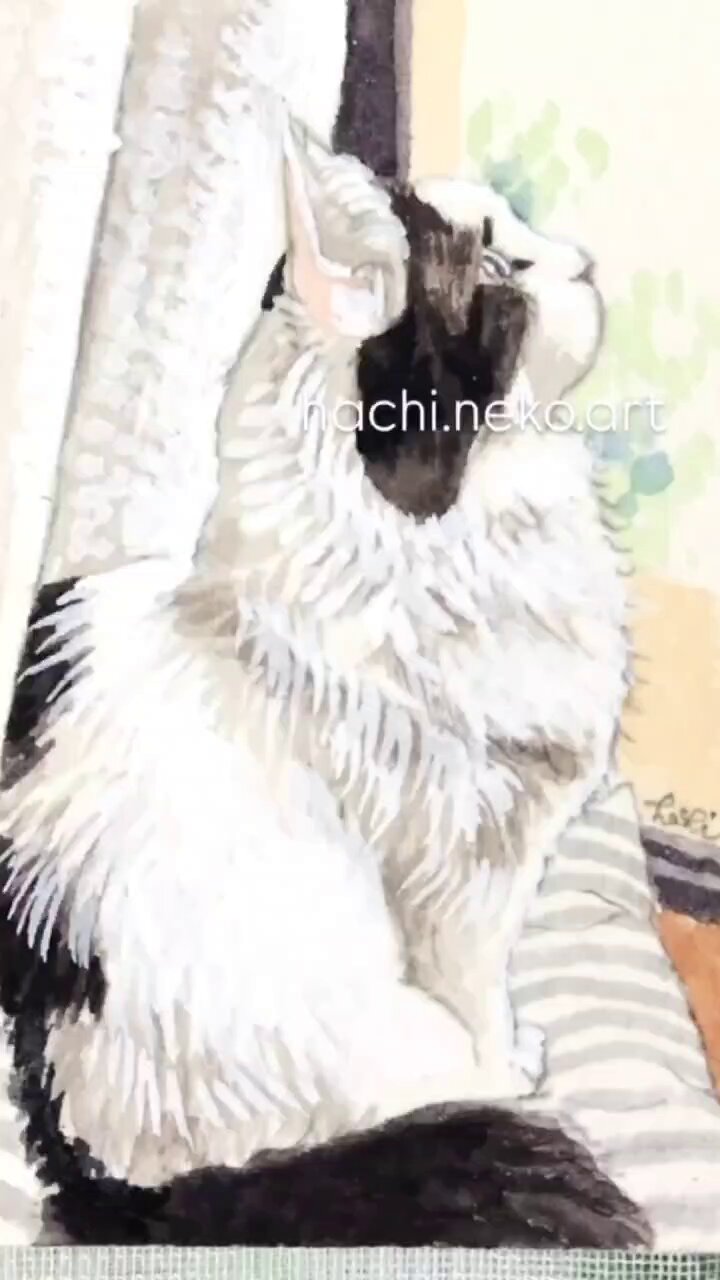 猫の絵 - Cerca / X