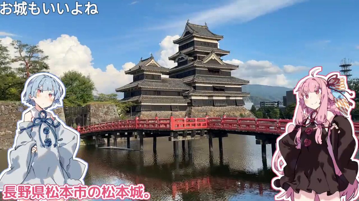 Niko様確認ページ Amazon | ゼブラ プレフィール用ボールペン替芯 NJK-0.4芯 RNJK4