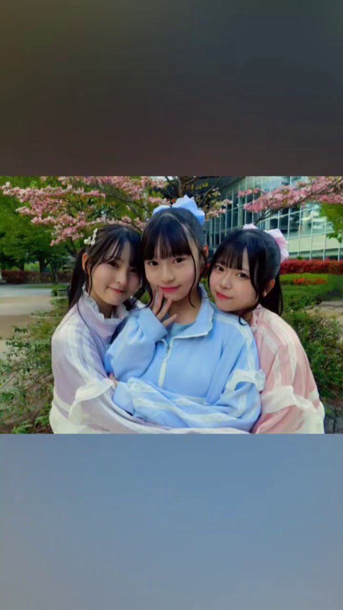 Novelbrightセット　ぴんきー♡断捨離中 のりぴー (@cxcocherry) / X