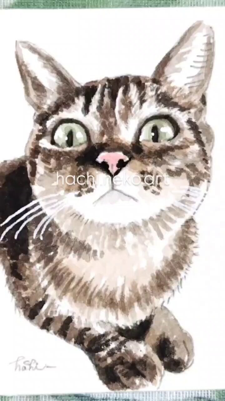 猫の絵 - Cerca / X