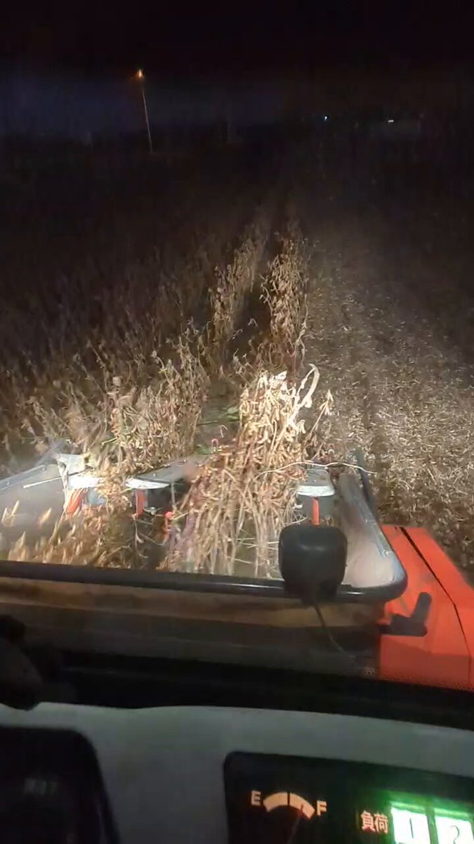 お腹減った お腹減って - অনুসন্ধান / X