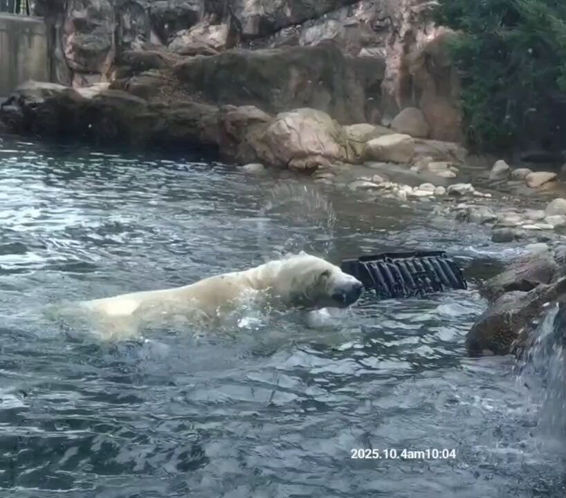 ひろみん (@hiromiimi) / X