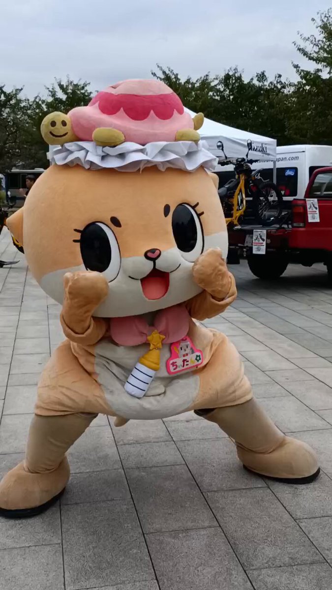 にゃんたん♡ Posts with replies by ちぃたん☆／Chiitan (@chiitan7407) / X