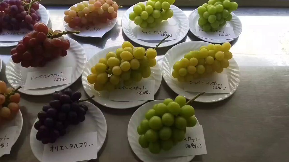 みかん☆さま確認ページ♡ 2023482_LL.jpg