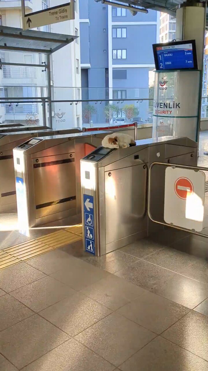 超✖∞∞∞∞スーパーリピーターのあずき断捨離中！プロフご一読お願いします専用 おまだ (@omada_k_masao) / X