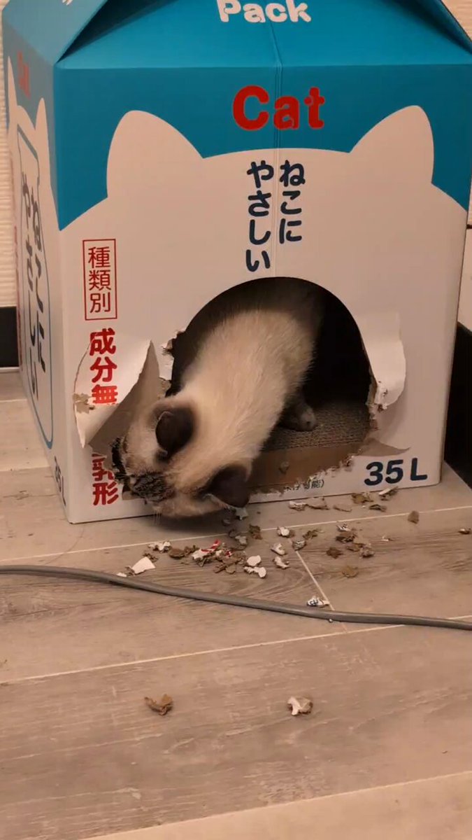 つー様用•*¨*•.¸♬︎ nなつn on X