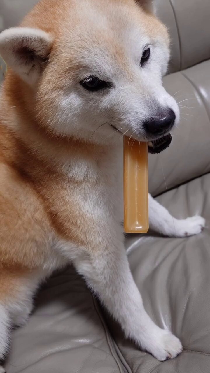 コレクター (@GoodSpead) / X