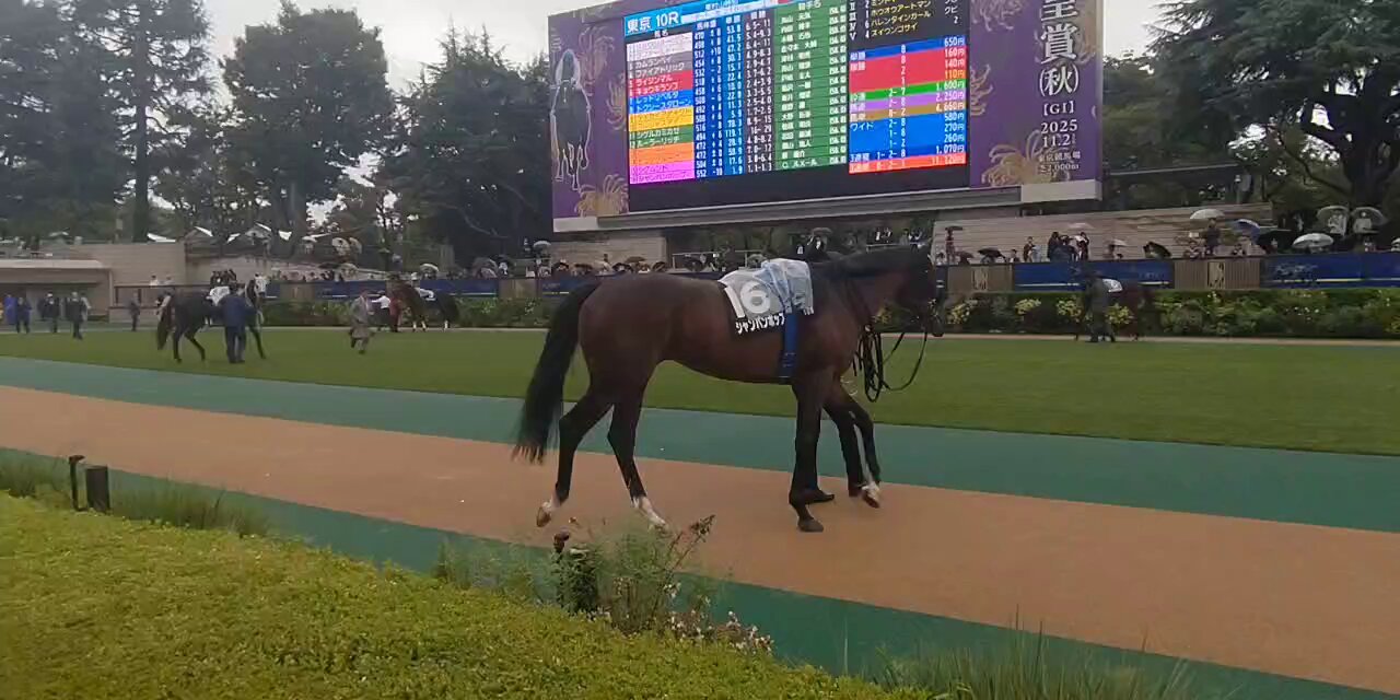 リオの空 うねび on X: 