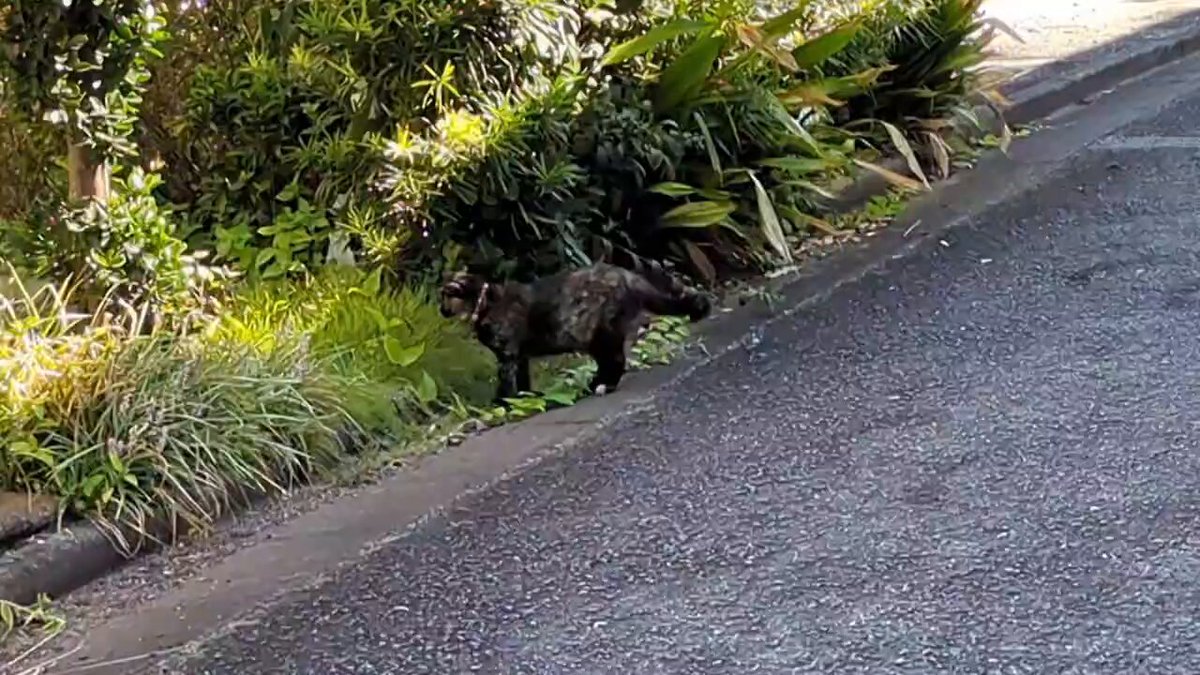 ナオ☘️ (@KzhFdS73plONkf6) / Posts / X