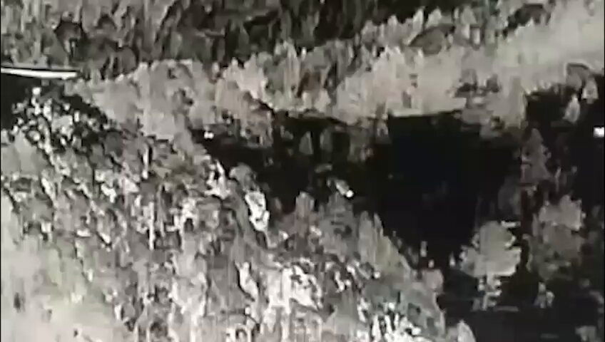 Embedded video
