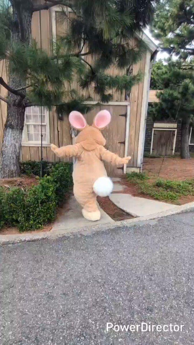 とんバニ大好きᕱ⑅ᕱ専用 とん☆ばに (@Thumper813Bunny) / Posts / X