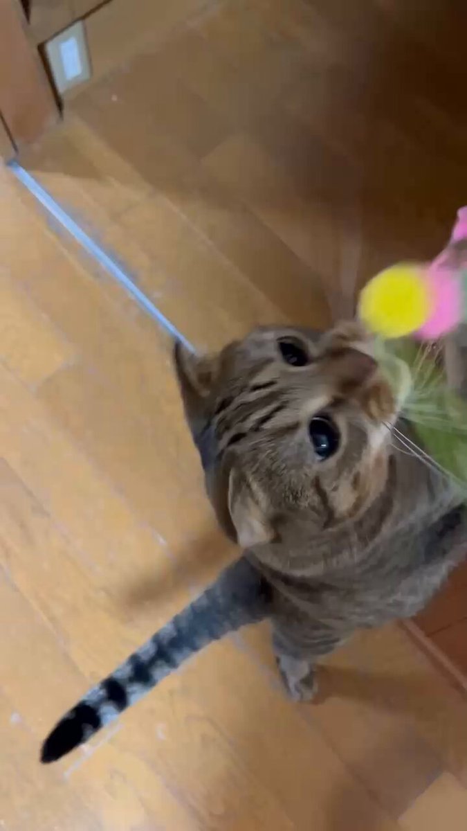 はると (@tomeji1106) / Posts / X