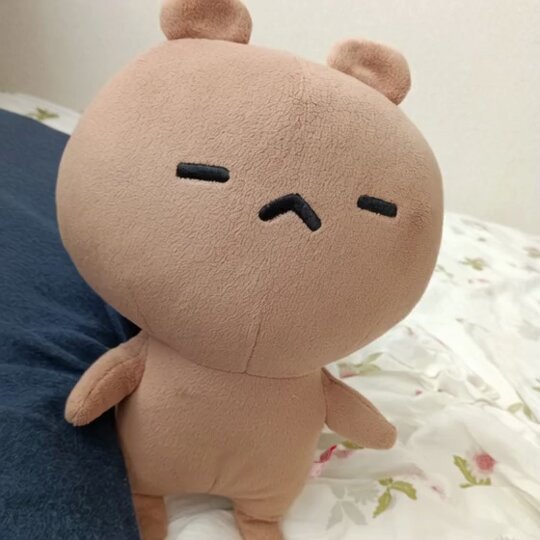 ♡ren.k.230723様ご確認♡ みっきー·̩͙꒰ঌ✞໒꒱· ﾟ (@114514_ren) / Posts / X