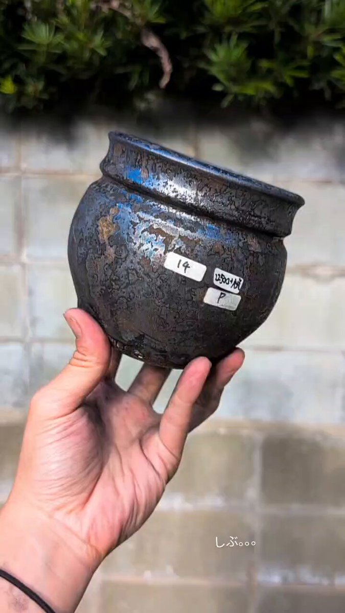 sale イベント限定品　姫野翔太氏　kimera蛇目 sale イベント限定品 姫野翔太氏 kimera蛇目 姫野翔太 Xに約2年