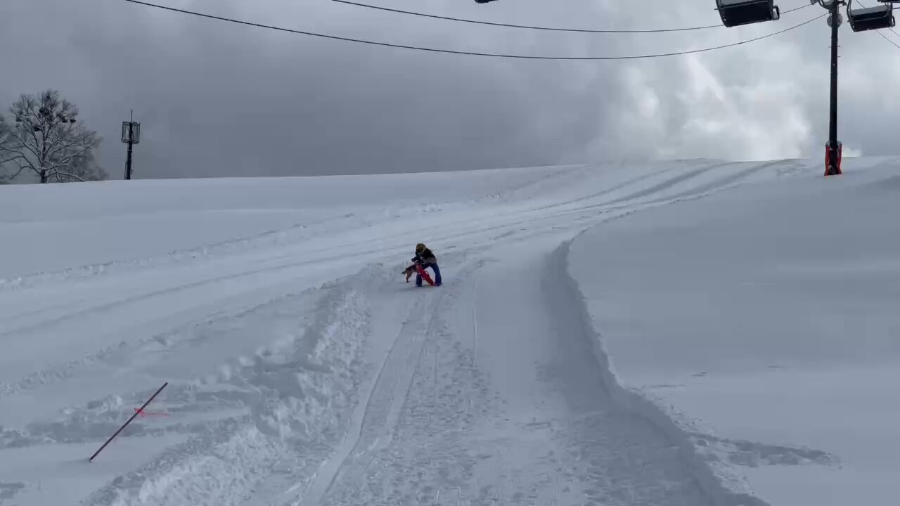 スキー Yoshi_cho スキー Yoshi_cho スキー│Z-CRAFT（ゼット