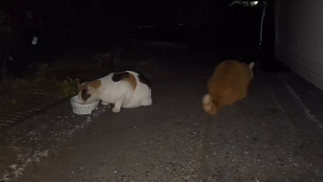 たかのっち🐈‍⬛/WEZARD/JZX100鈑金予定 on X: 