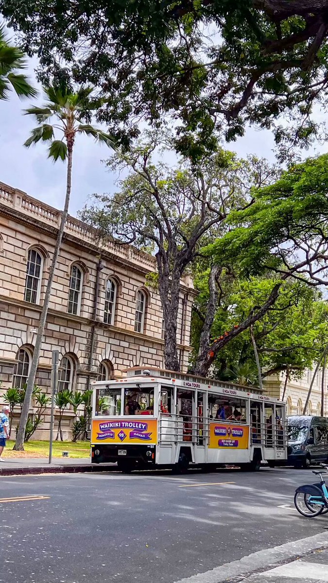 【さおりん様】 　ココブレーキ ハワイ　イオラニ　イオラニレッド 限定　美品 ビオラ・F1フローラルパワー マリーナ| 種・苗・ガーデニング