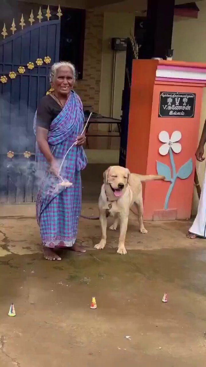 Strong Dog, Happy Diwali Picture