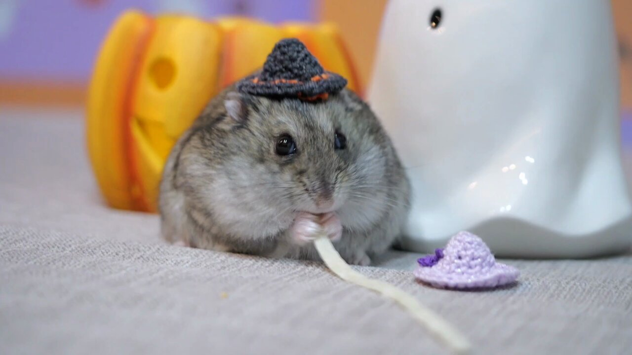 aaachaページ♡ あんこページ シートあんこ抜き♪（カワサキ ZX-6R）by ZUTTA