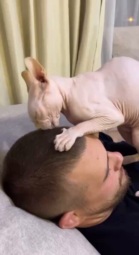 AQShdagi elita fohishalari