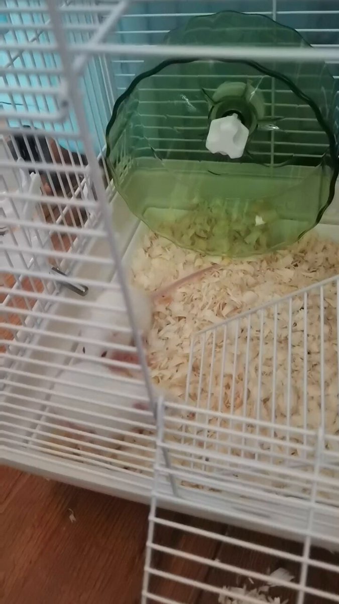 青龍様の専用ページ♡ 1636941362142-scaled.jpg