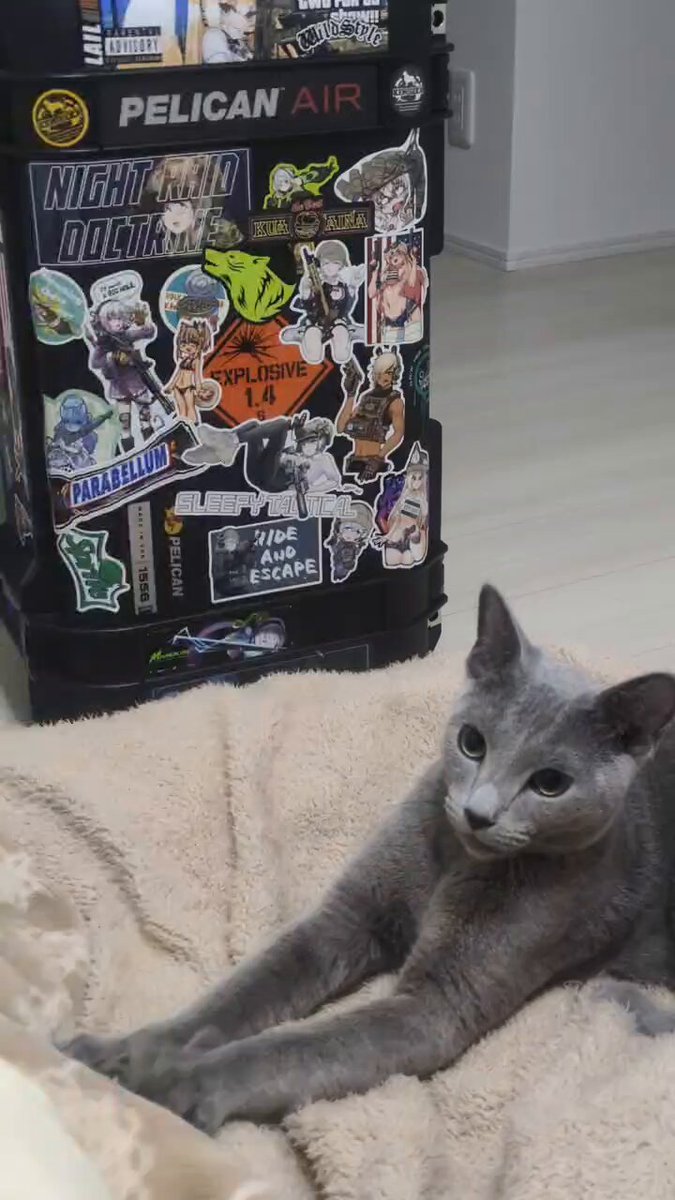 ゆうまるです ゆうまる (@MuD8m) / Posts / X