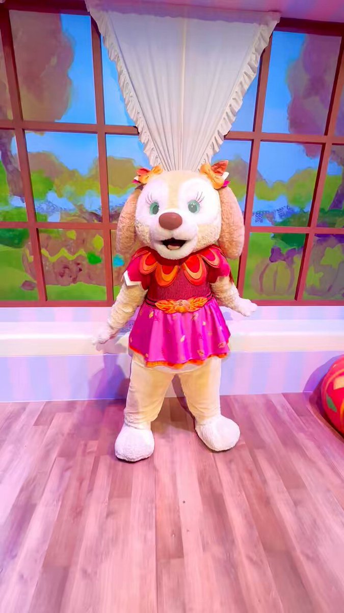 🎀ステラ・ヌー🐰🩰🎀 (@stella_nuuu) / Posts / X