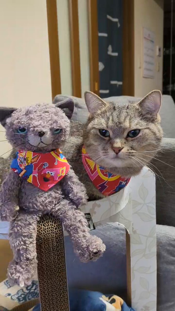 ぐく丸吉☆ 蒸気レスVE電気まほうびん＜とく子さん＞ – タイガーパーツショップ