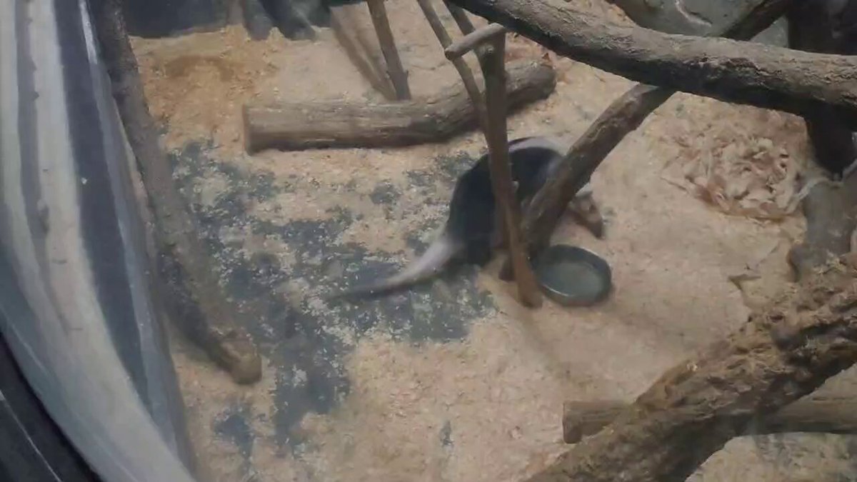 🇨🇦Sandra🇯🇵 on X