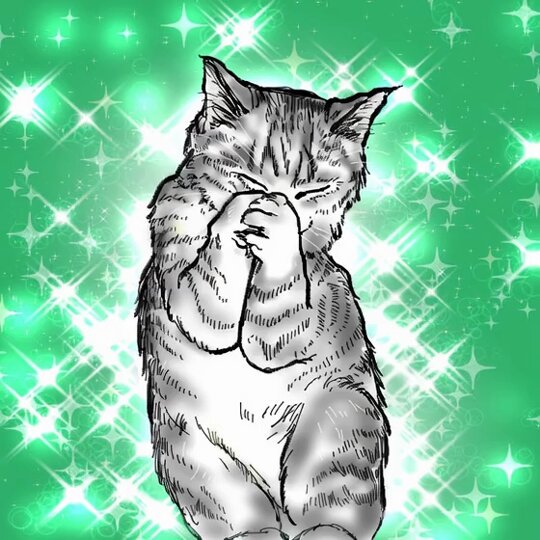 雨の日のねこ様♡ありがとうございます♡ 雨の日にカッパを着てお散歩するねこ4。-Maru takes a walk in a