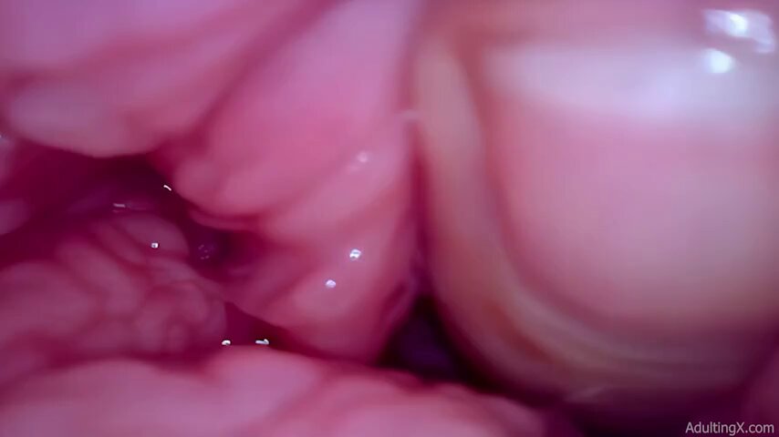 Video by @SophieAdulting