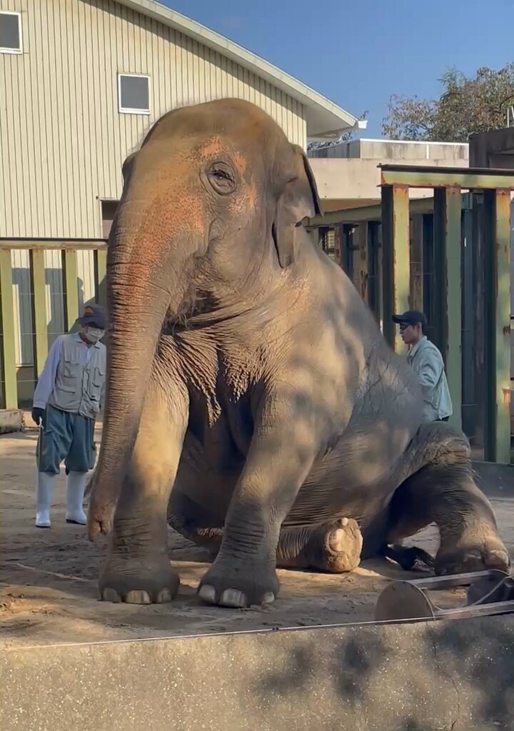 ❀はるかぜ様❀ はるかぜ on X