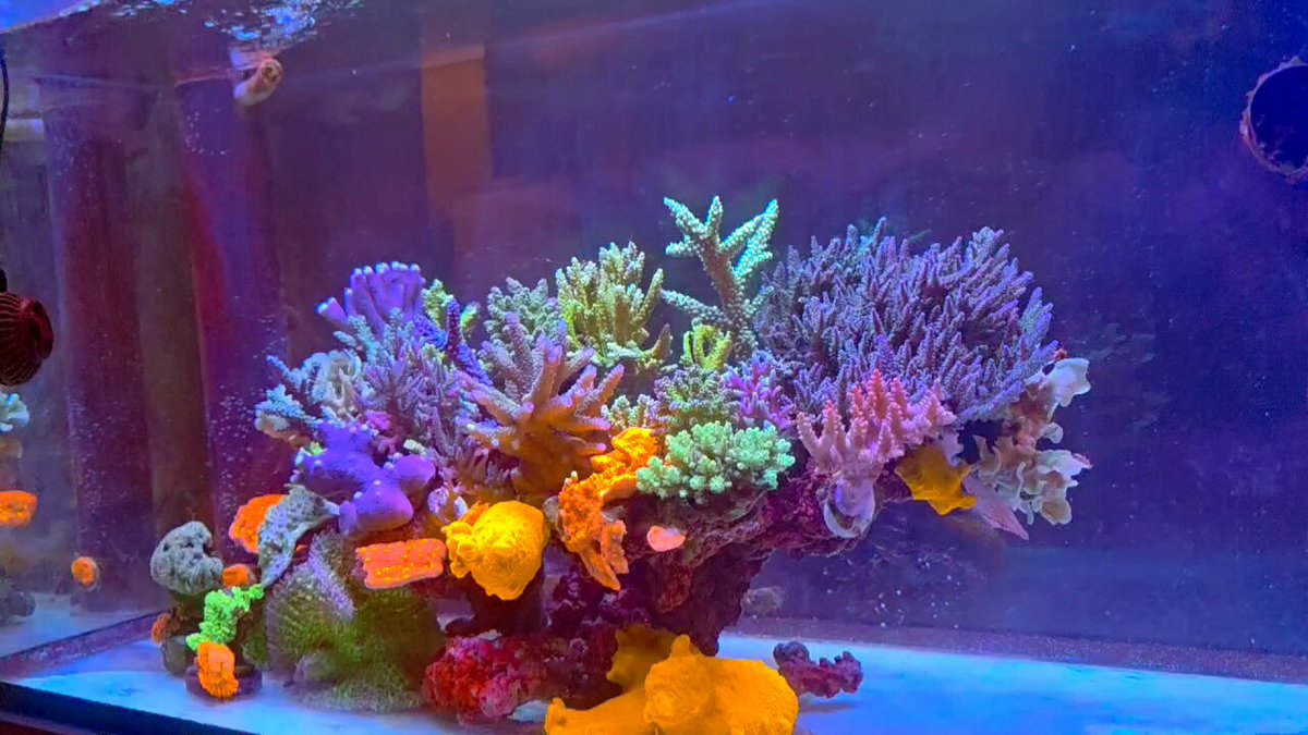 ミニミニ (@ghXO87fqwYVN3e0) / Posts / X