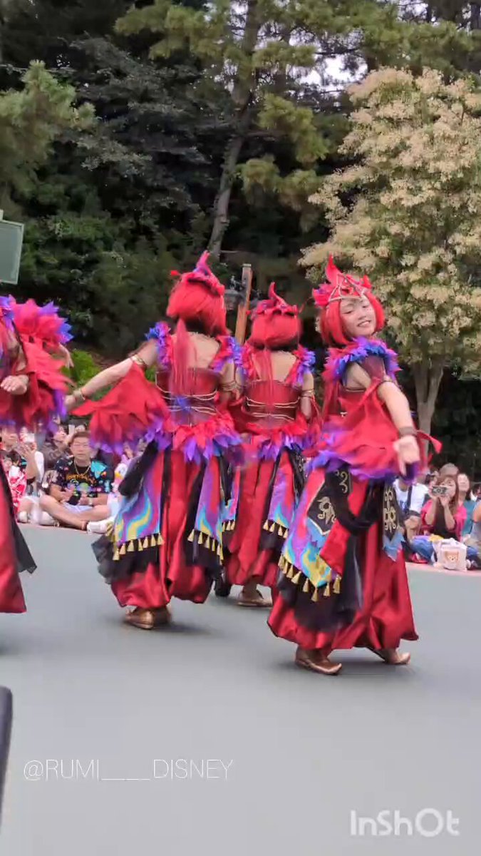 【最短10/12発送】オウムダンサー オウムダンサー - Search / X