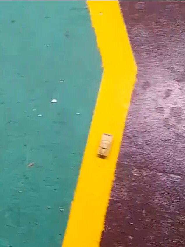 ぴょん太 ぴょん太🐷 on X