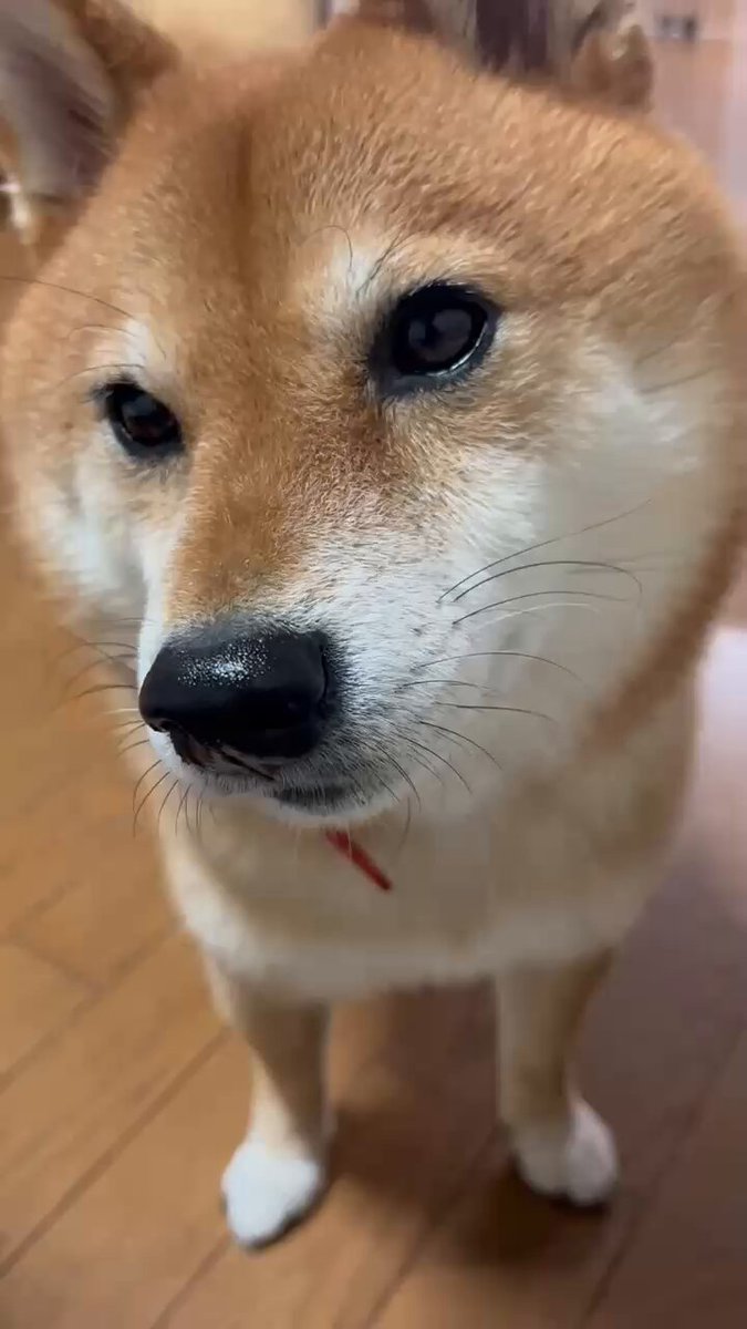 tora&senjiro (@etnOFyWNlBQUcx1) / Posts / X