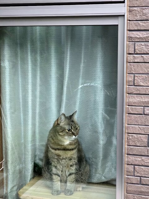 みーちゃん on X