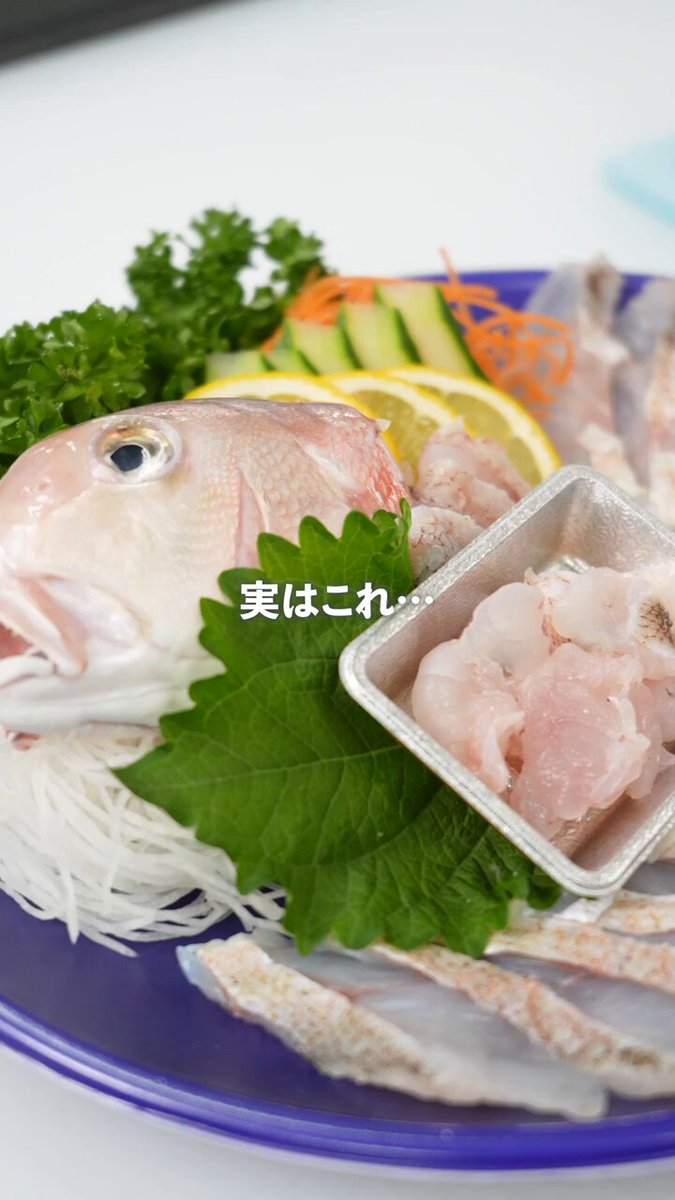 ドンキ MEIKO① 新品】【MONCADA】チンチラ襟コートトンボ工業 モルタル兼用