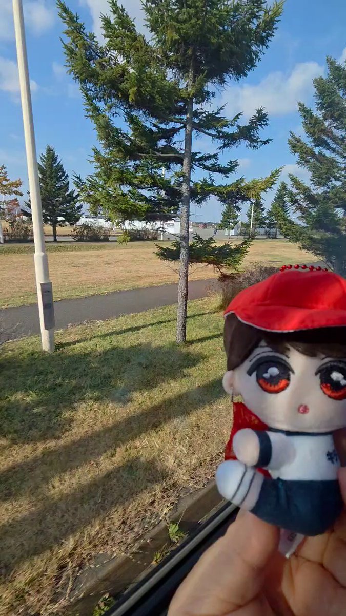 ミミさん専用❤︎ Amazon.co.jp: Q-six 郁 オリジナル アミちゃん 逆バニー 日焼け