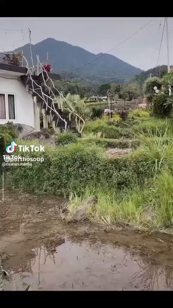 Toy kechasida yalangoch kelinlarning fotosuratlari