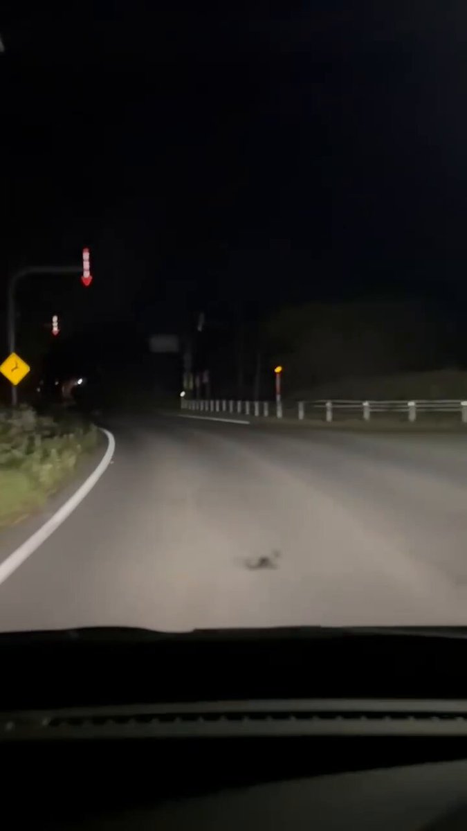 野良猫【値下8/31削除】Aprés パンプス23.0cm黒 野良猫【値下8/31削除】Aprés パンプス23.0cm黒 野良猫【値下8/31削除